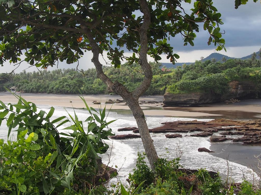Gajah Mina Beach Resort Selemadeg  Buitenkant foto