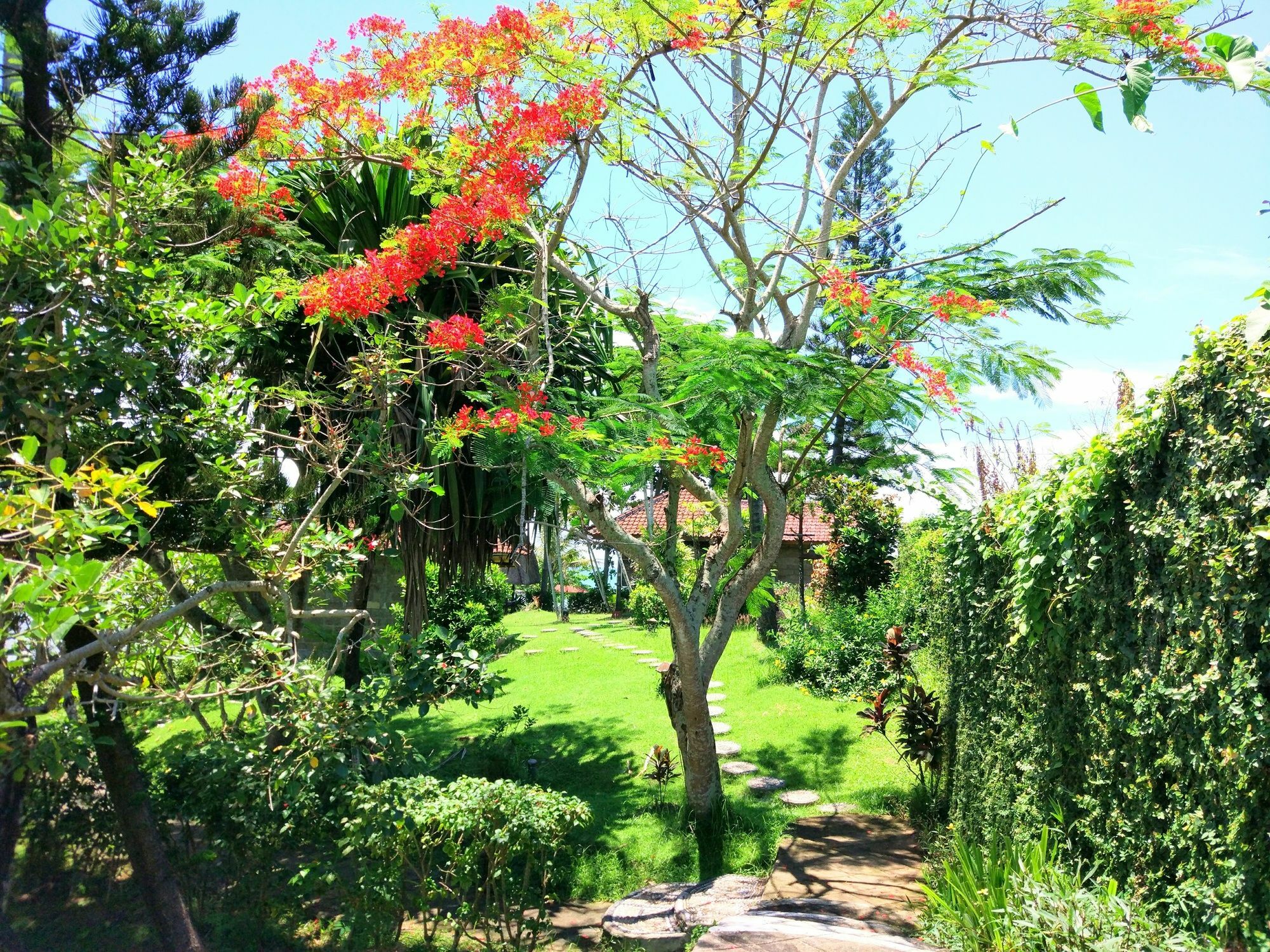 Gajah Mina Beach Resort Selemadeg  Buitenkant foto