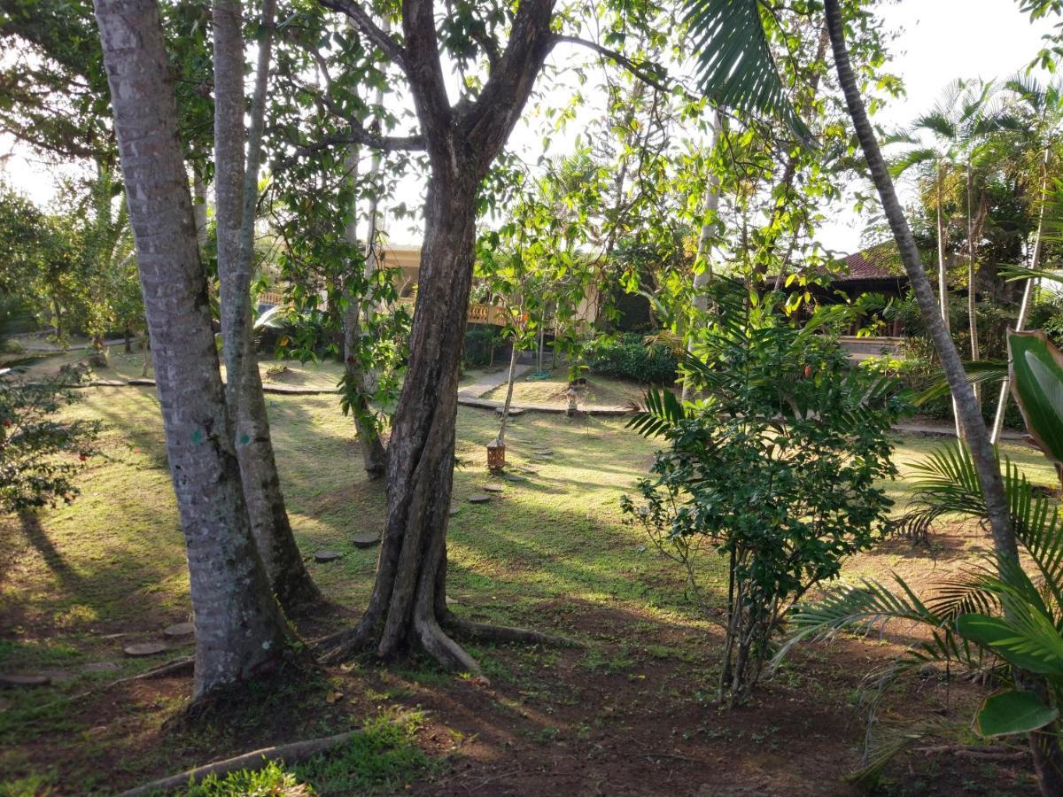 Gajah Mina Beach Resort Selemadeg  Buitenkant foto